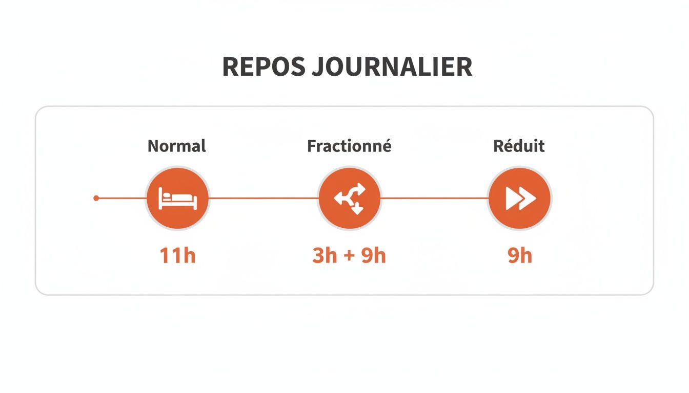 Infographie expliquant les différents types de repos journalier des routiers: normal (11h), fractionné (3h+9h) et réduit (9h).